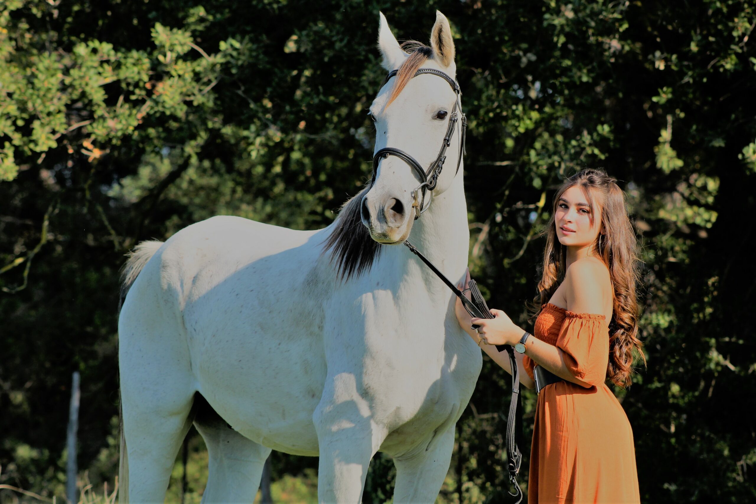 Shooting portrait photographe l'instant éternel Nîmes Photographe animalier